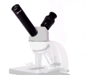 XSP videós mikroszkópfej